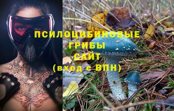 скорость Нея