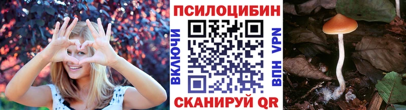 Галлюциногенные грибы Cubensis  Саров 