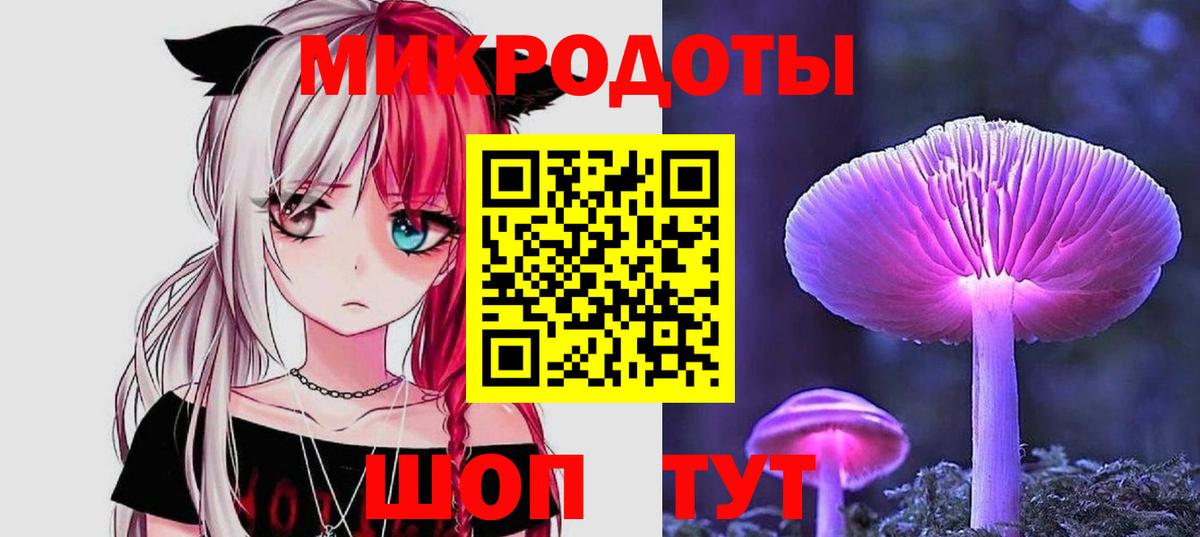 Галлюциногенные грибы Psilocybe  Саров 