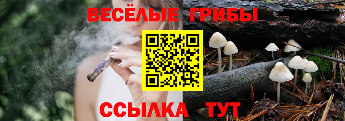 цена наркотик  Псилоцибиновые грибы Psilocybine cubensis  Вход с VPN  Саров  Галлюциногенные грибы MAGIC MUSHROOMS 