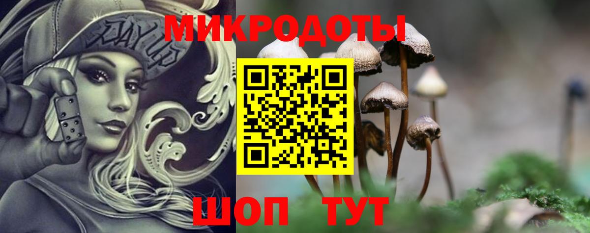 Псилоцибиновые грибы Psilocybe Саров