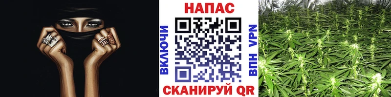 Каннабис MAZAR Саров